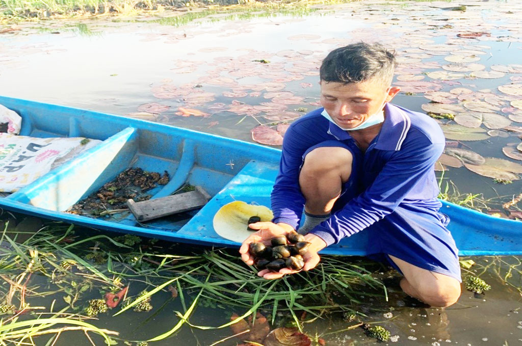 Long An: Nuôi con đặc sản không biết chạy ngay cạnh ruộng lúa, anh nông dân bắt bao nhiêu bán hết bấy nhiêu - Ảnh 3.