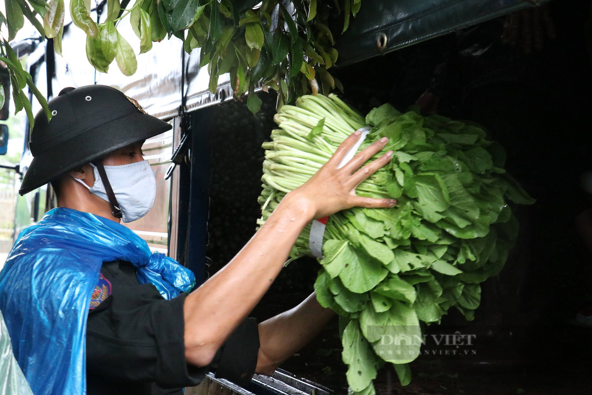 Đắk Lắk: Dân, quân đội mưa thu hoạch rau gửi về vùng dịch - Ảnh 5.