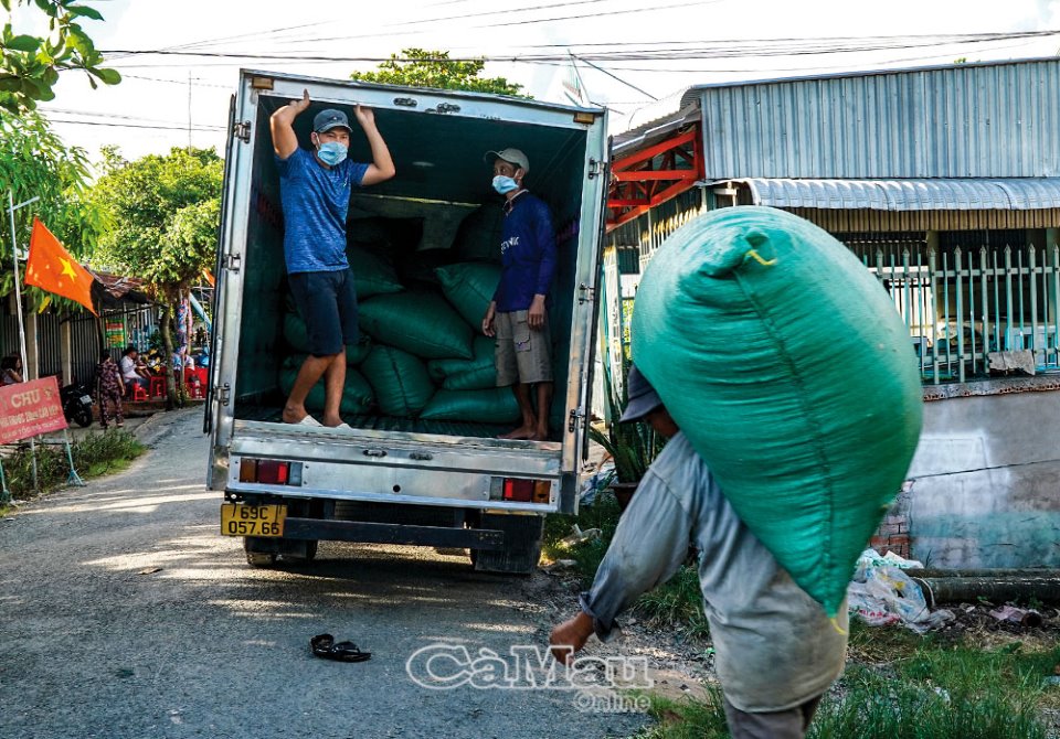 Con ruốc còn có tên là gì mà khi sóng biển lặng yên dân Cà Mau ra vớt trúng đậm ví như vớt &quot;lộc trời? - Ảnh 4.