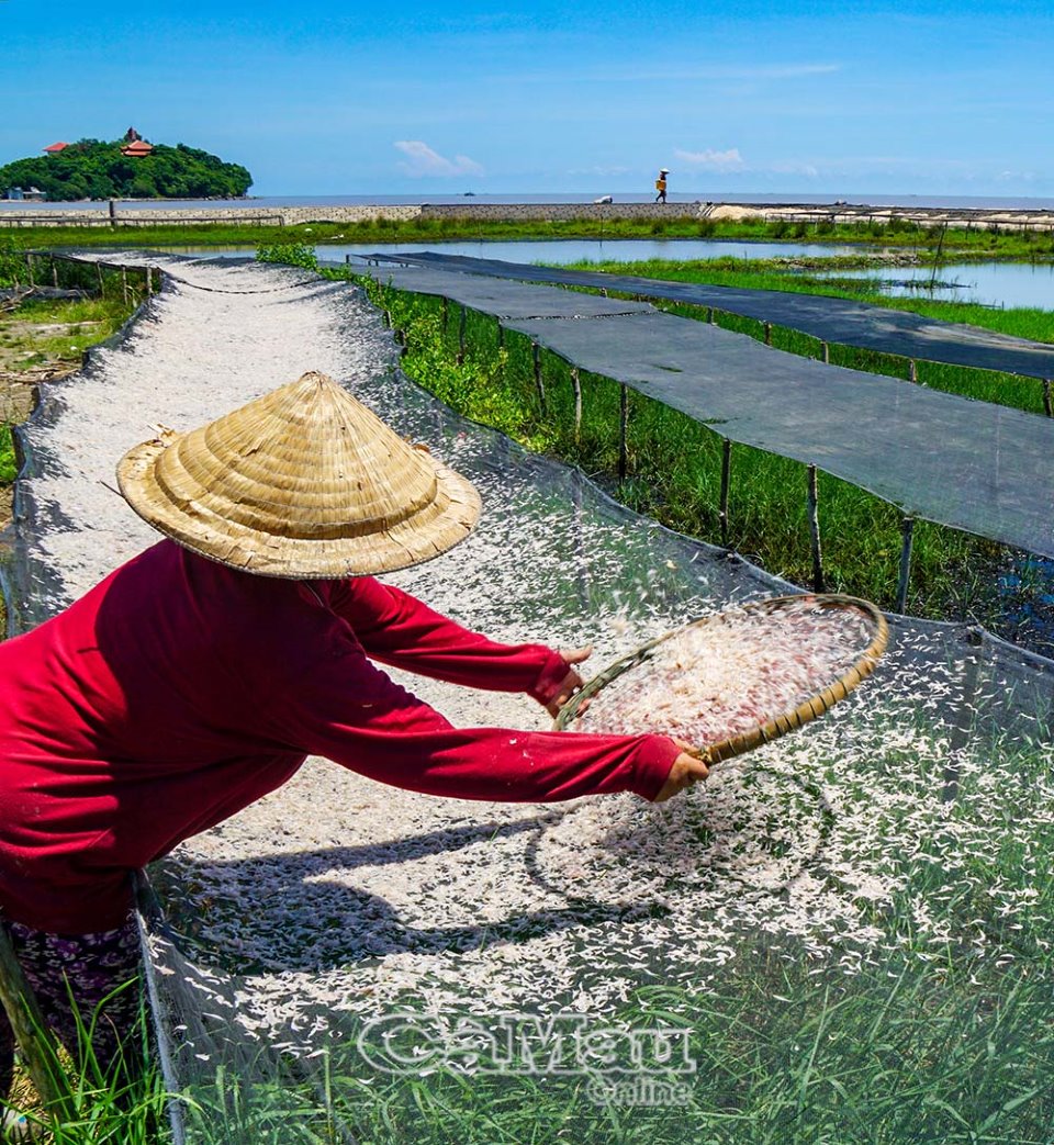 Ngư dân trúng ruốc - Ảnh 2.