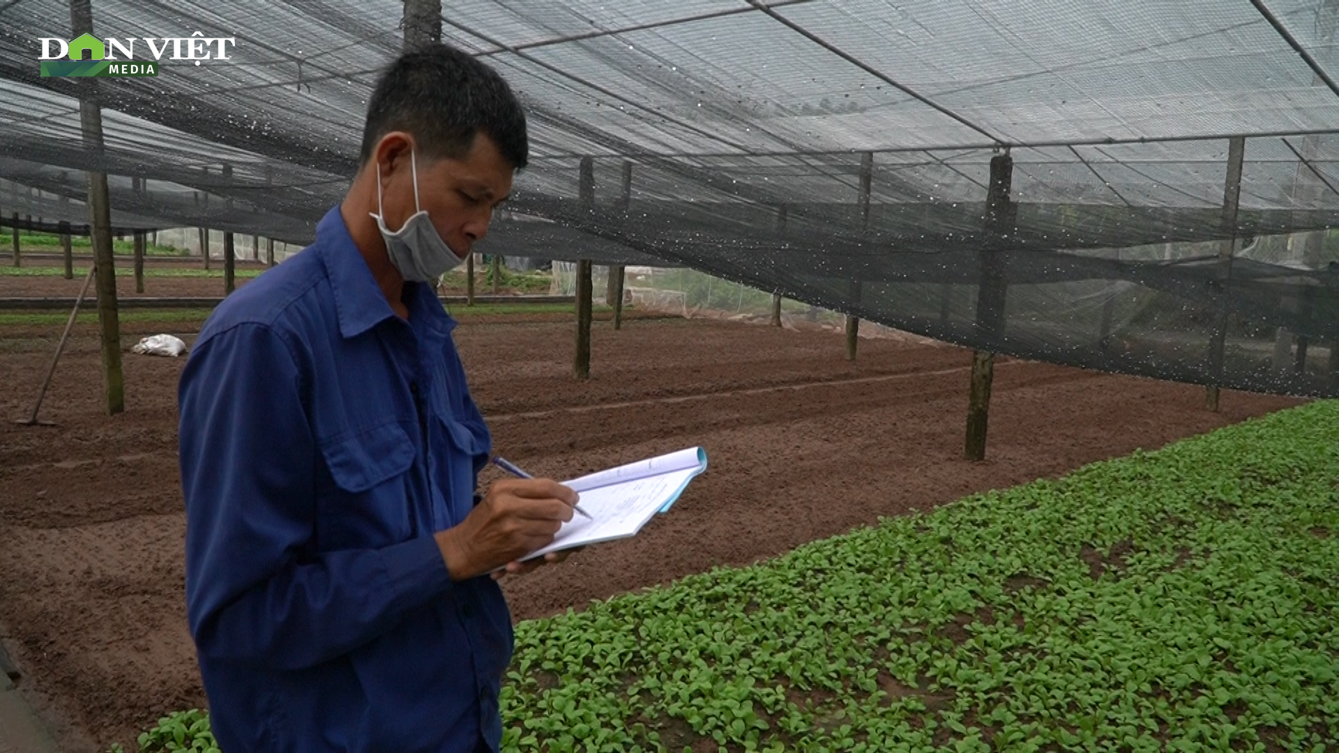 Nhật ký trồng rau - Kỷ luật trong sản xuất nông sản an toàn của nông dân Tiền Lệ (Hà Nội) - Ảnh 2.