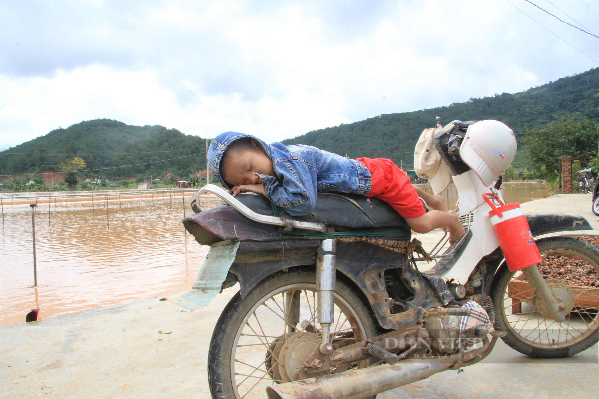 Lâm Đồng: Lũ về lúc nửa đêm, hàng trăm ha hoa màu của người dân thiệt hại - Ảnh 11.