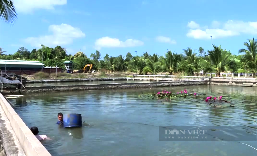 Bà Rịa – Vũng Tàu: Nuôi thành công “nhân sâm dưới nước”, anh nông dân “hốt bạc” từ thị trường Nhật Bản - Ảnh 4.