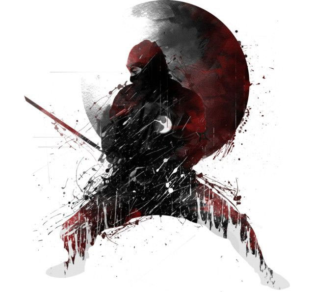 Bí ẩn về ninja &quot;nửa người nửa quỷ&quot; Nhật Bản: Nỗi ác mộng của các lãnh chúa - Ảnh 5.
