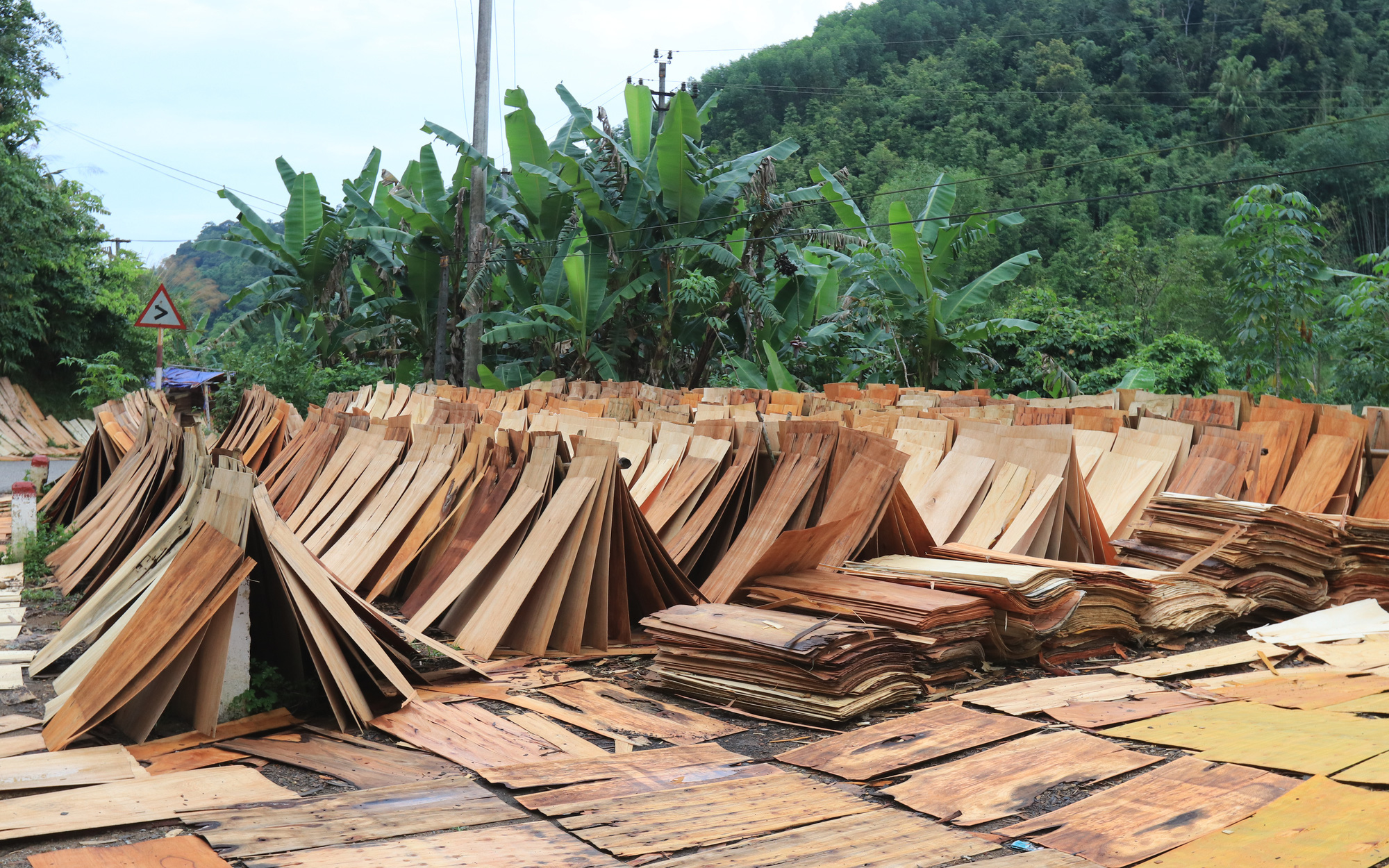 Bóc gỗ rừng tự nhiên đem đi bán ở Lạng Sơn (Bài 1): Ngang nhiên mở đường vào rừng đốn gỗ như &quot;vòi bạch tuộc&quot;
