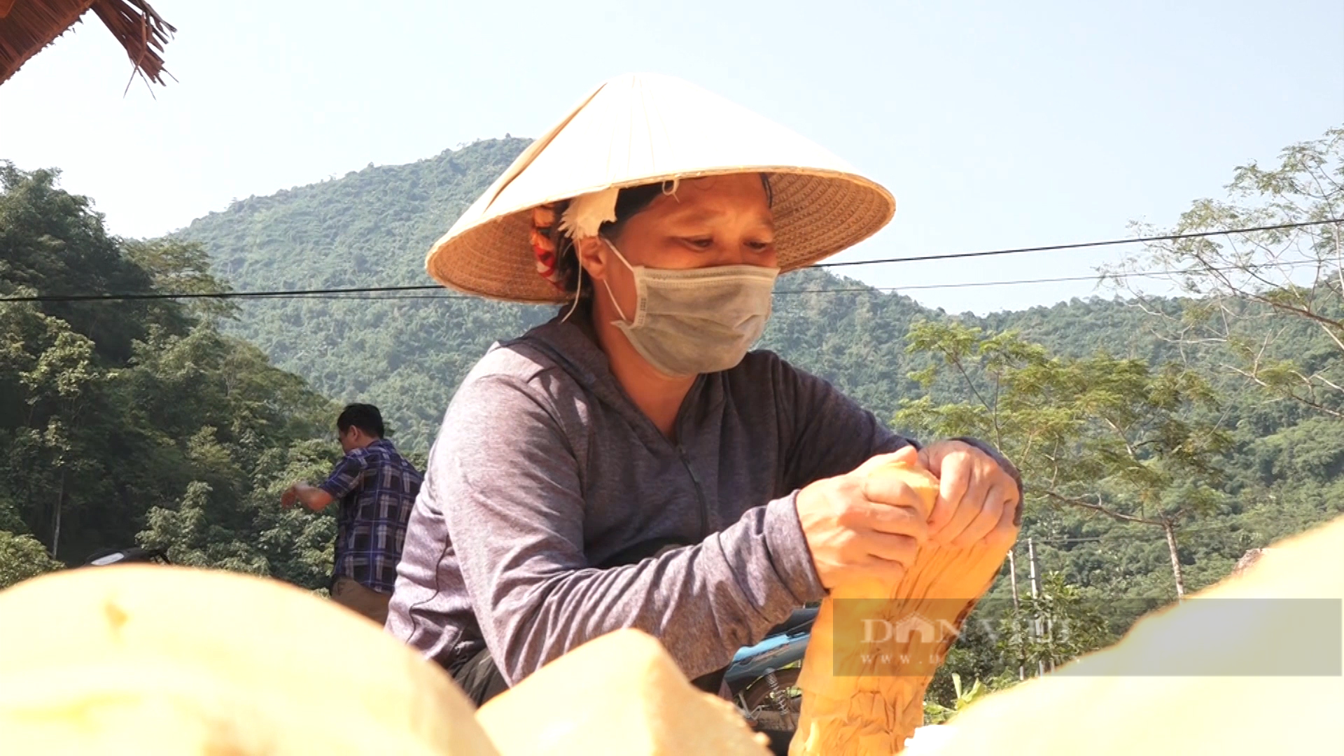 Yên Bái: Loài măng tên nghe lạ đạt chuẩn OCOP đem lại thu nhập khá cho người nông dân - Ảnh 5.