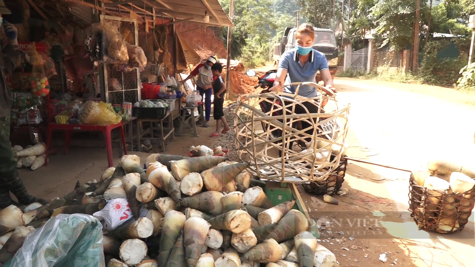 Yên Bái: Loài măng tên nghe lạ đạt chuẩn OCOP đem lại thu nhập khá cho người nông dân - Ảnh 6.