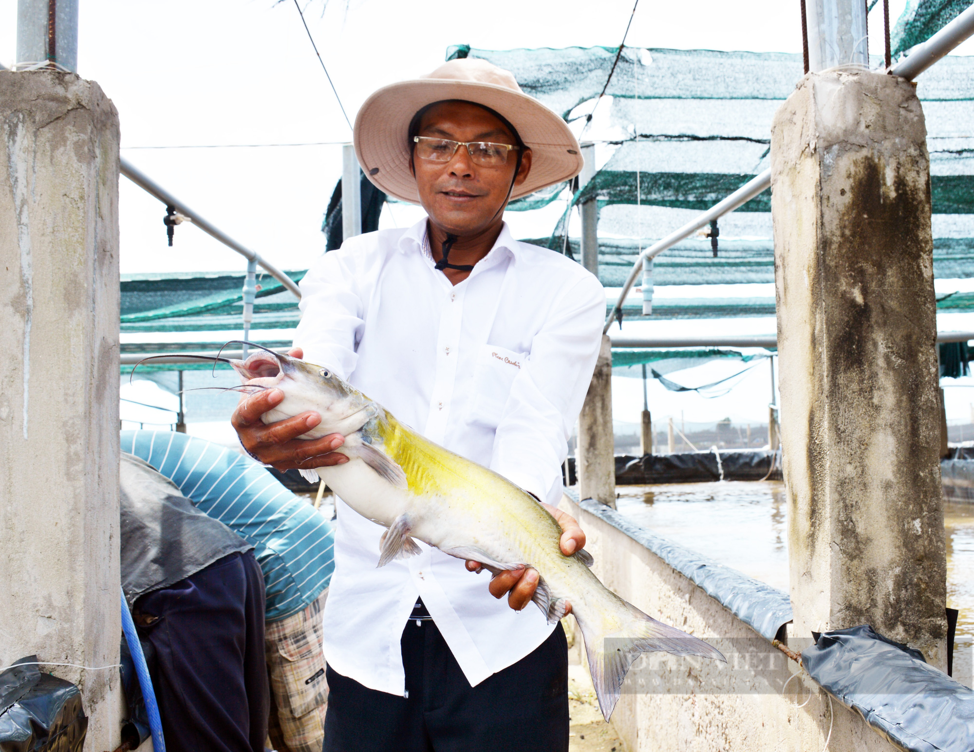 Cá đặc sản khó tiêu thụ trong mùa dịch, nông dân xuất sắc ở Bạc Liêu nêu giải pháp - Ảnh 4.
