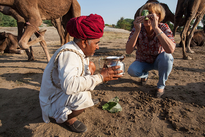 Văn hóa lạc đà đầy cuốn hút của người du mục Raika trên sa mạc Thar - Ảnh 5.