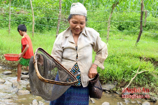 Tít nước: Trải nghiệm ẩm thực 'kinh dị' khi đến Nghệ An - Ảnh 6.