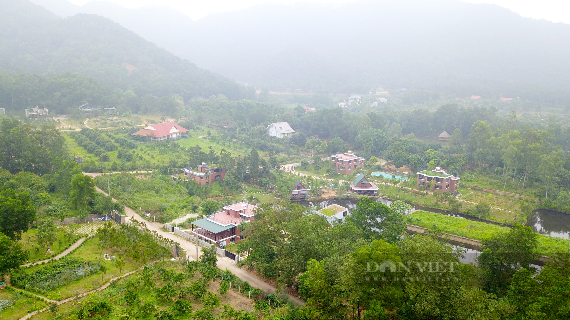 'Ôm mộng' giàu nhanh từ đất rừng sản xuất, nhà đầu tư cẩn thận mắc kẹt - Ảnh 4.