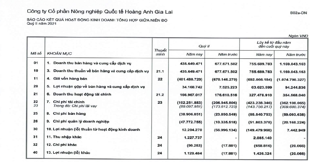 HAGL Agrico của tỷ phú Trần Bá Dương lại lỗ đậm sau 6 tháng đầu năm - Ảnh 2.