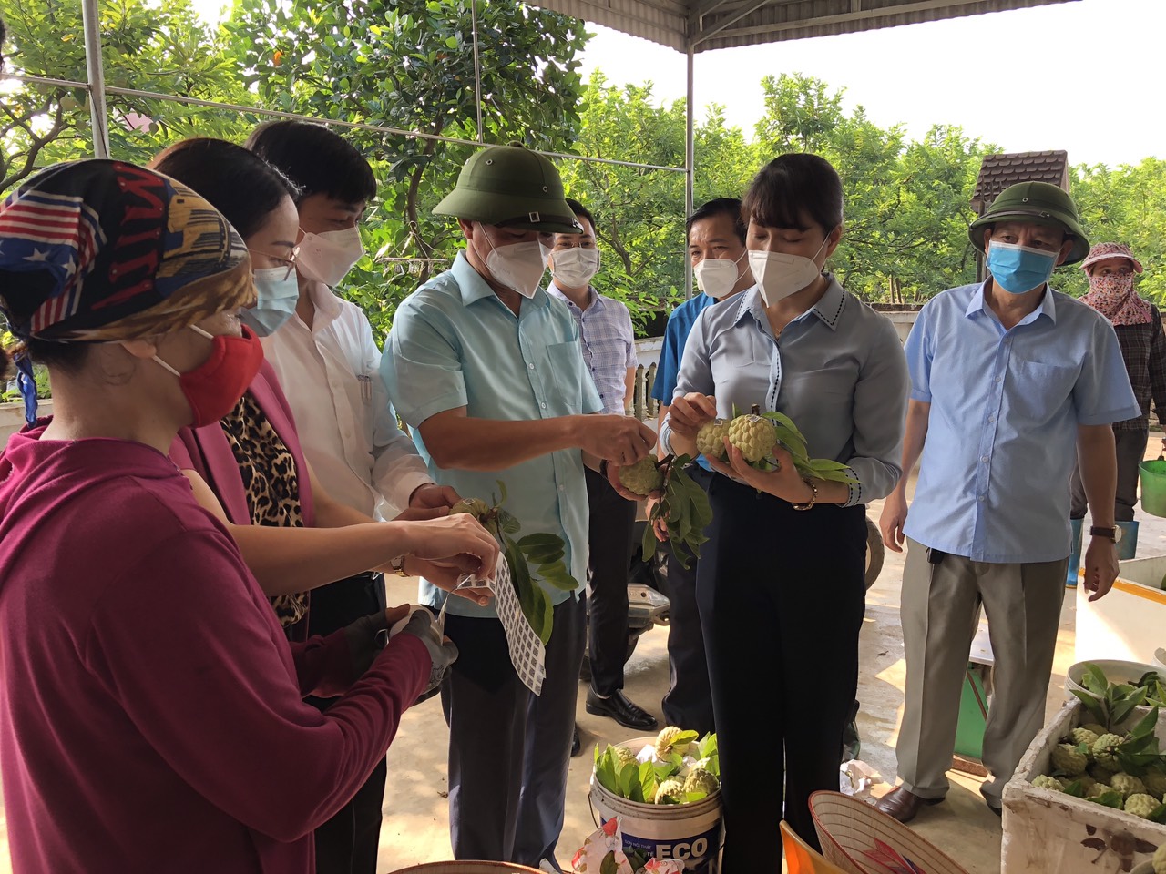 Thái Nguyên: Tái cơ cấu nông nghiệp đóng vai trò quan trọng trong xây dựng nông thôn mới - Ảnh 5.