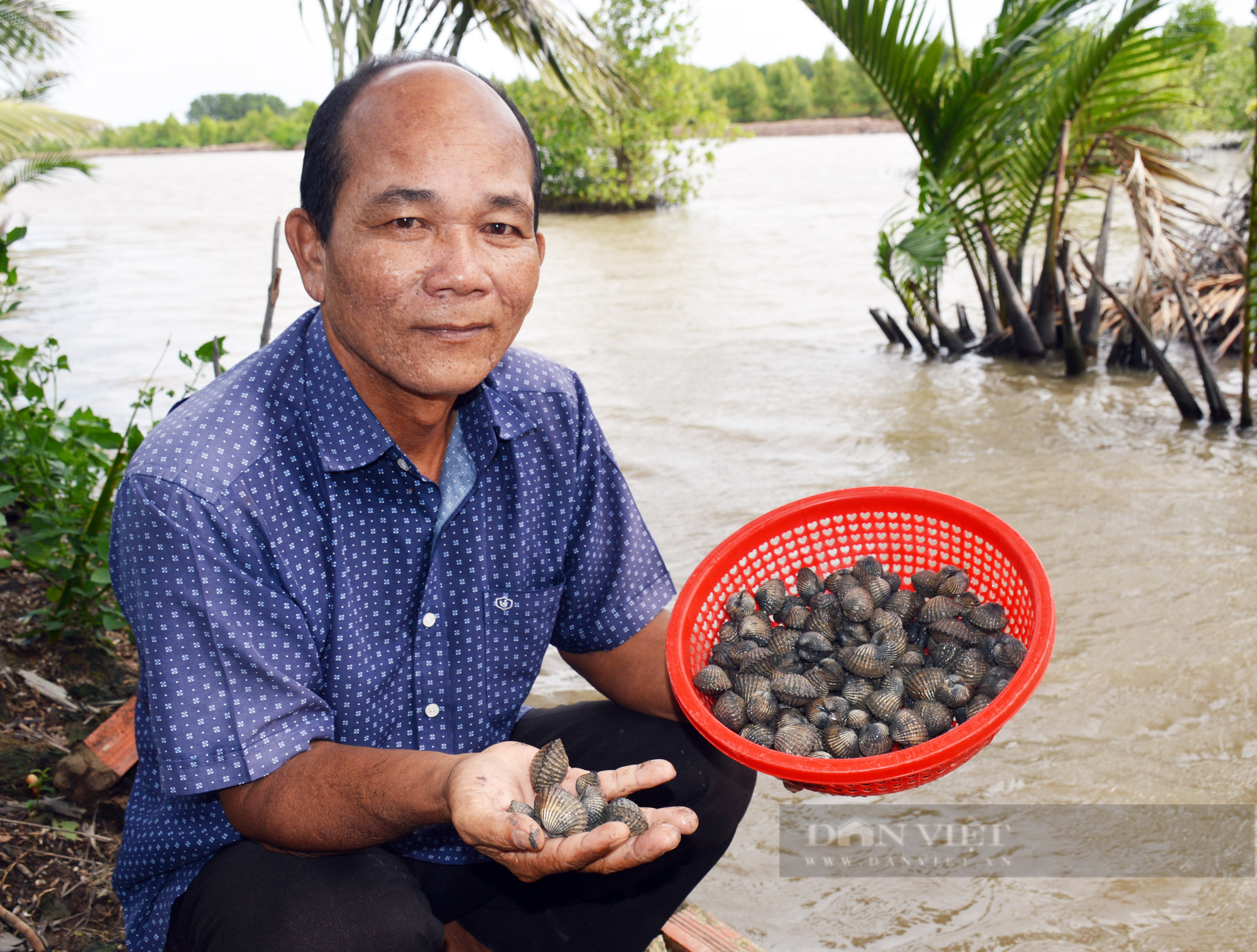 Cà Mau: Ảnh hưởng dịch bệnh, giá cua, sò huyết giảm mạnh, bồn bồn khó tiêu thụ - Ảnh 2.