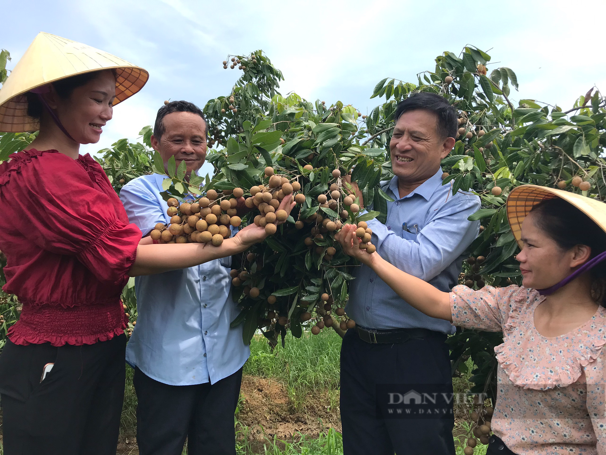 Lão nông U60 chinh phục bãi bồi kém hiệu quả thành trang trại bạc tỷ - Ảnh 5.