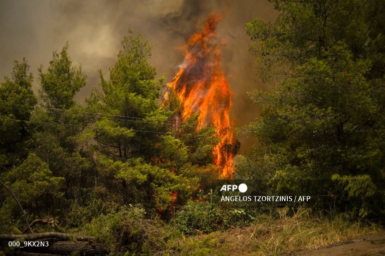 Ám ảnh với loạt hình cháy rừng kinh hoàng tại Hy Lạp - Ảnh 2.