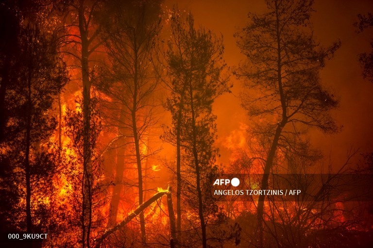 Ám ảnh với loạt hình cháy rừng kinh hoàng tại Hy Lạp - Ảnh 3.