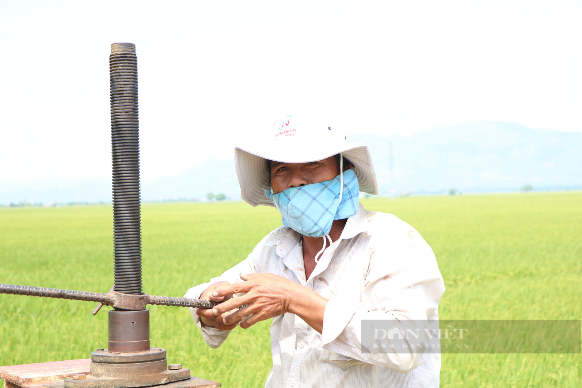 Ninh Thuận: Đồng lúa đơm bông nhờ tay &quot;nông dân thứ thiệt&quot; - Ảnh 1.