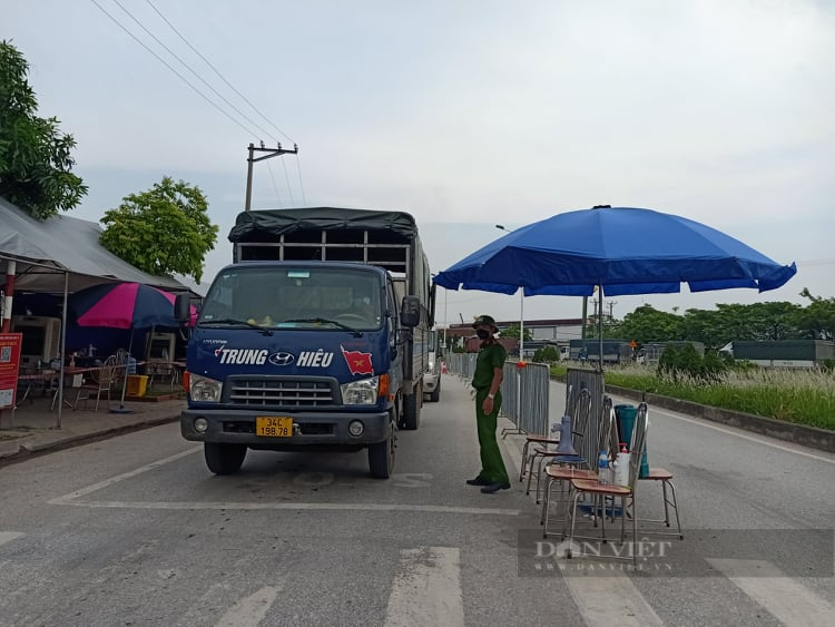 Hải Dương: Cảnh báo nhiều trường hợp sử dụng giấy xét nghiệm Covid và logo “luồng xanh” giả - Ảnh 1.