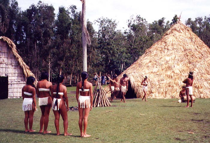 Bộ lạc thổ dân gây kinh ngạc khi chỉ đếm được tới 20 nhưng rất đa tài - Ảnh 2.