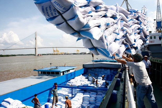 Đơn hàng nhiều nhưng doanh nghiệp xuất khẩu gạo vẫn “chật vật”, làm gì để gỡ khó? - Ảnh 1.