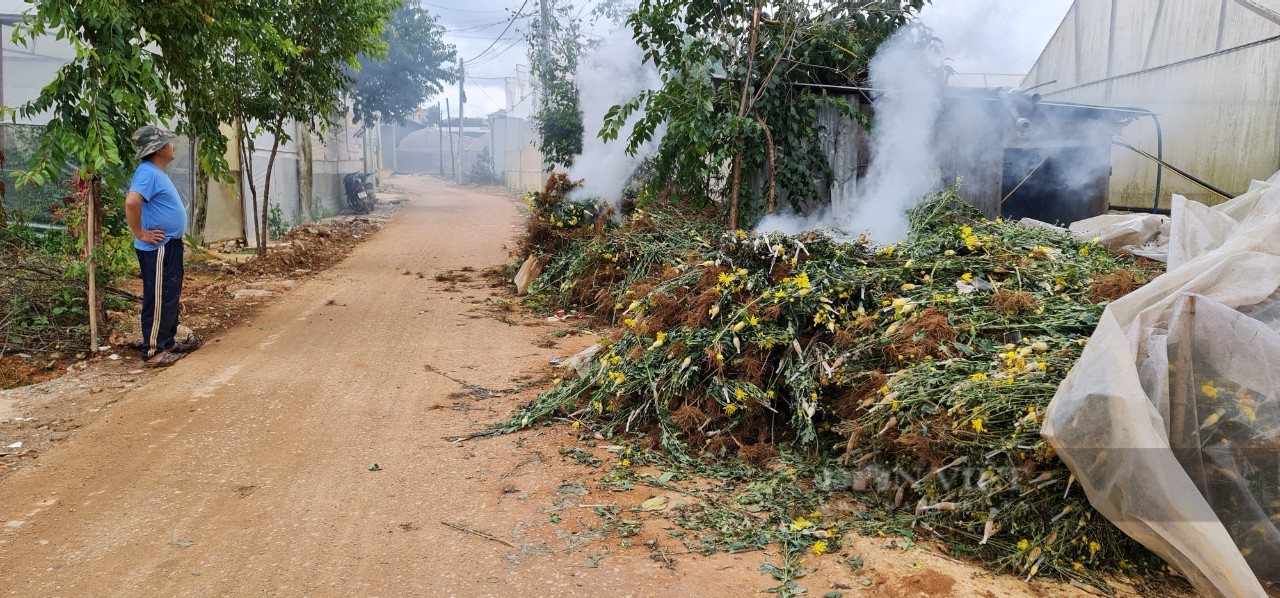 Dân “kêu khó”, Lâm Đồng triển khai nhiều biện pháp thúc đẩy sản xuất, kinh doanh trong mùa dịch - Ảnh 1.