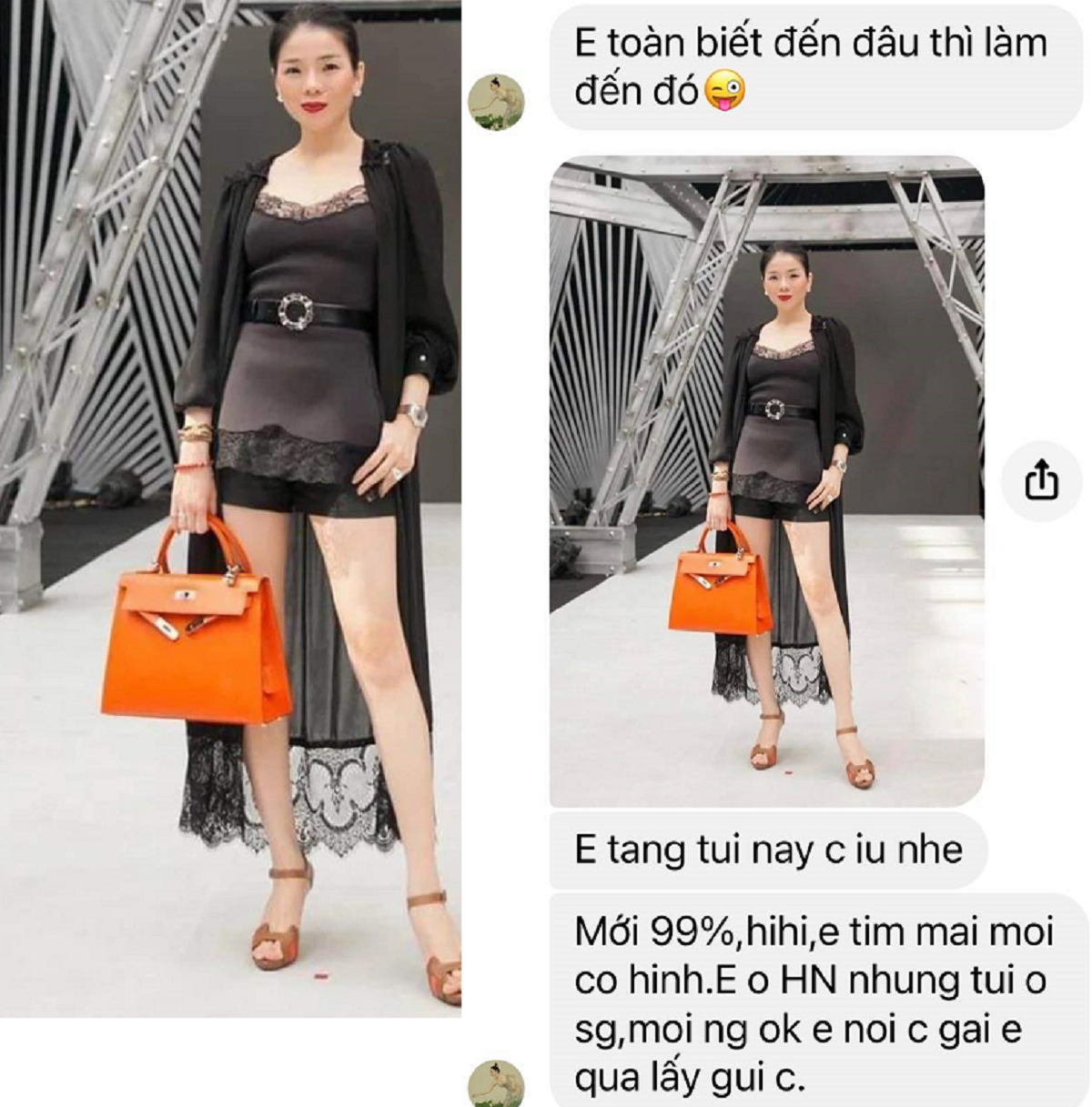 Sau BTV Ngọc Trinh, Lệ Quyên tặng túi Hermes Kelly cho Quỹ Hạt Vừng - Ảnh 3.