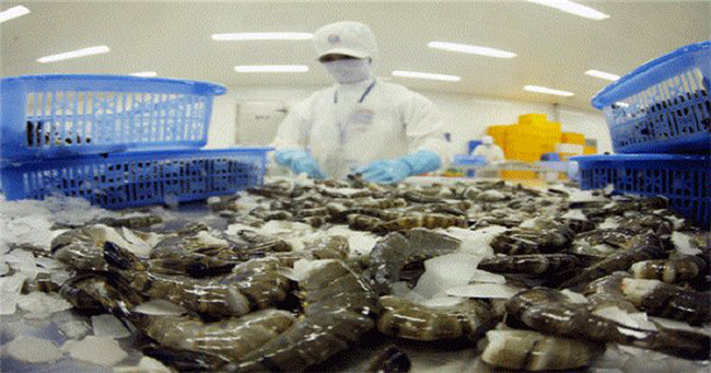 Xuất khẩu tôm Việt Nam bị đảo lộn vì dịch bệnh - Ảnh 1.