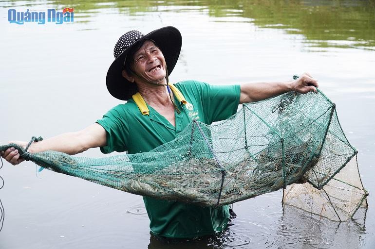 Nuôi Ghép Tôm Thẻ Với Cá Đối Nục Và Cua Biển Trong 1 Cái Ao, Nông Dân Quảng  Ngãi Lại Trúng Lớn