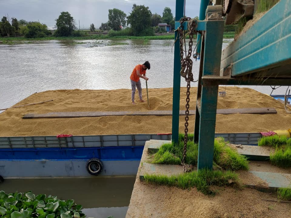 Bộ trưởng Lê Minh Hoan: Phải quan tâm tới thương lái, coi họ như đối tác thu mua lúa, nông sản - Ảnh 3.