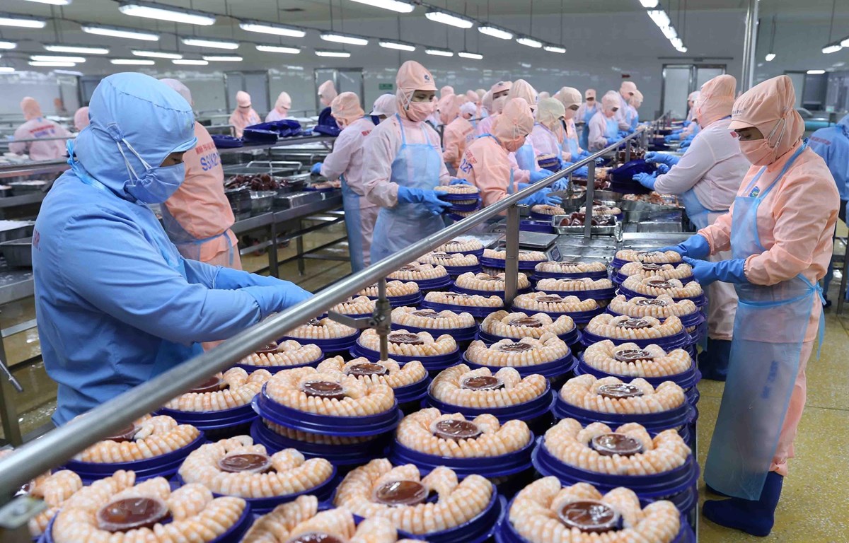 Phấn đấu giá trị kim ngạch xuất khẩu thủy sản đạt 14-16 tỷ USD trong năm 2030 - Ảnh 1. Phấn đấu giá trị kim ngạch xuất khẩu thủy sản đạt 14-16 tỷ USD trong năm 2030 - Ảnh 1.