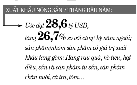 Linh hoạt các kịch bản giữ tăng trưởng nông nghiệp - Ảnh 2.