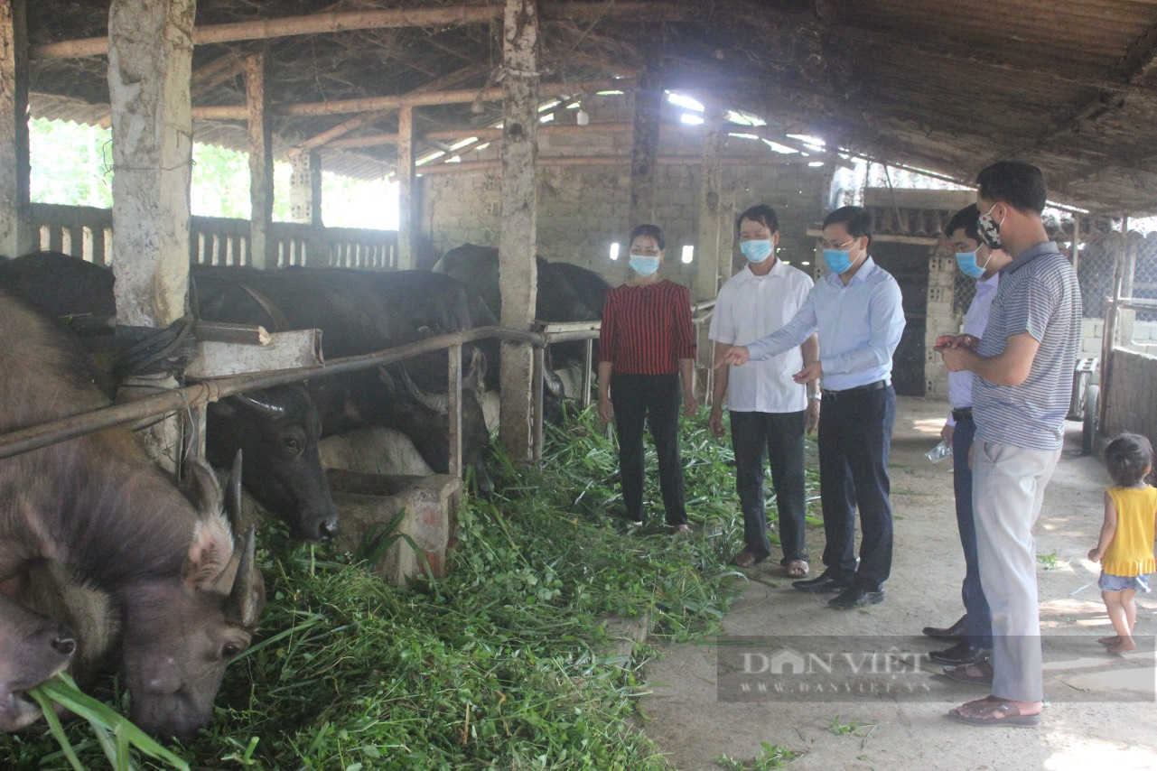 Những nông dân “bám đất, bám ruộng” làm giàu trong dịch Covi-19 ở Thanh Hoá - Ảnh 3.