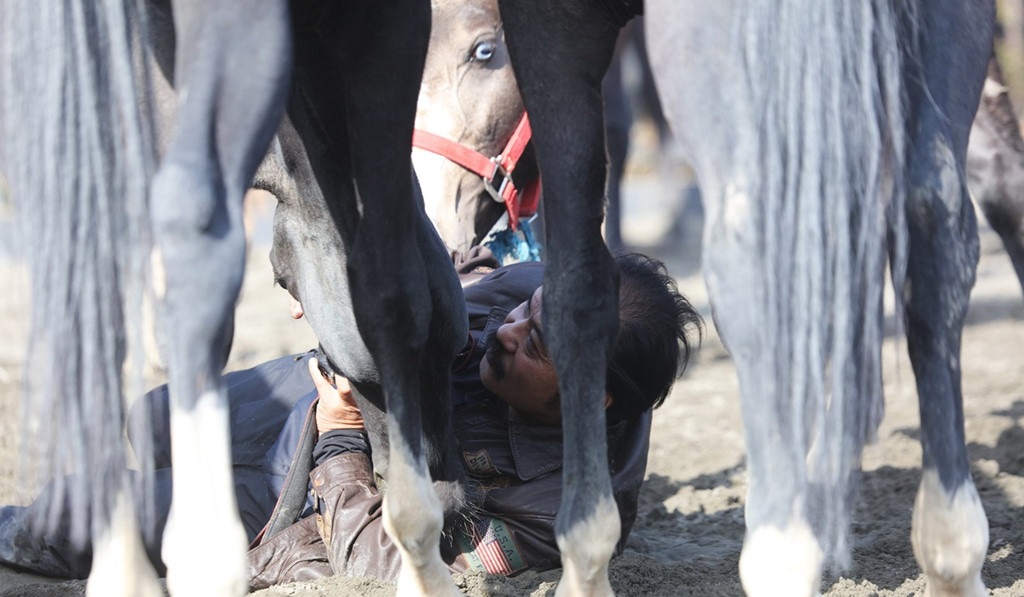 Trung Quốc: Bỏ 300 triệu USD mua ngựa quý huyền thoại &quot;mồ hôi như máu&quot; - Ảnh 4.