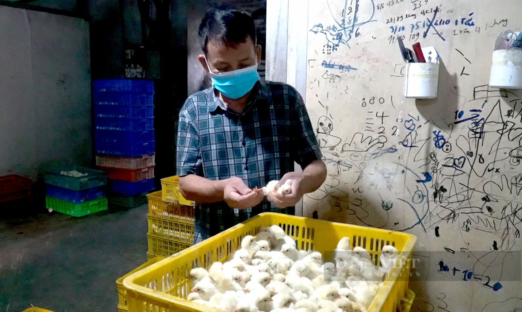 Chuyện về nông dân đô thị nuôi 13.000 gà đẻ trứng ở đất Từ Sơn, Bắc Ninh - Ảnh 11.