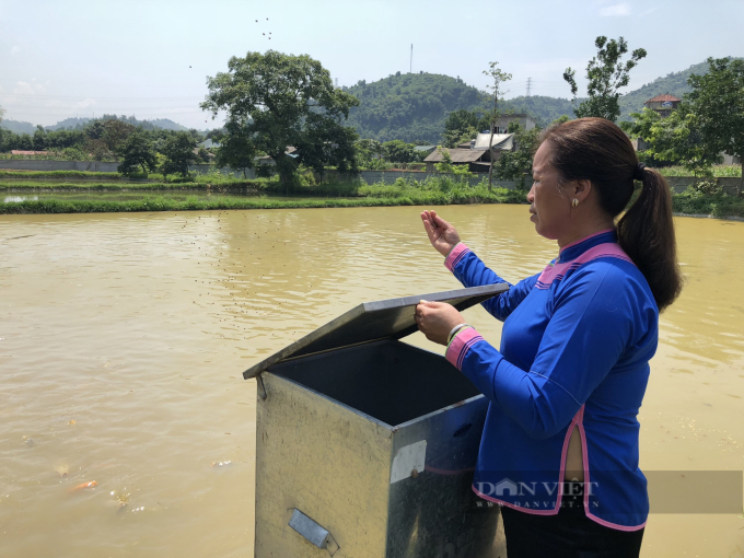 Lào Cai: &quot;Nữ hoàng&quot; nuôi cá ở Cốc San - Ảnh 3.