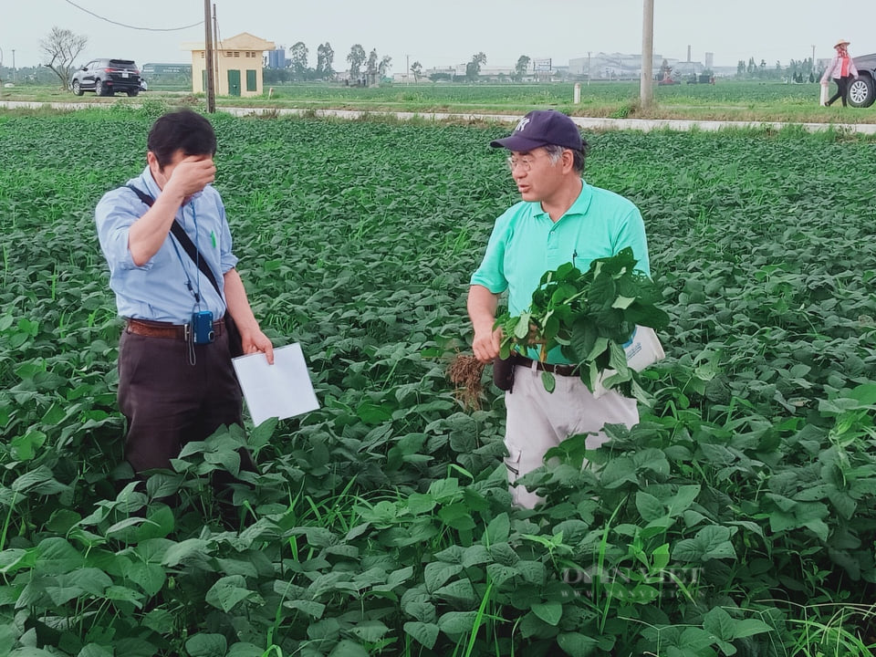 Hải Phòng: Người “tiếp lửa” trên cánh đồng lúa - Ảnh 5.