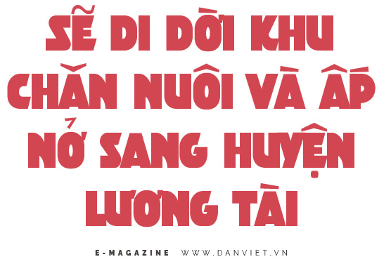 Chuyện về nông dân đô thị nuôi 13.000 gà đẻ trứng ở đất Từ Sơn, Bắc Ninh - Ảnh 15.