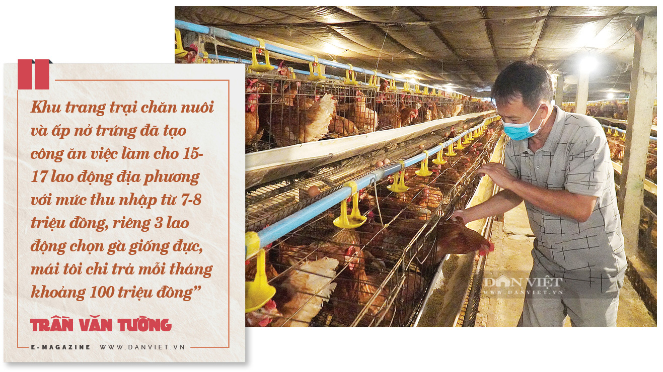 Chuyện về nông dân đô thị nuôi 13.000 gà đẻ trứng ở đất Từ Sơn, Bắc Ninh - Ảnh 4.