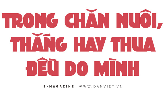 Chuyện về nông dân đô thị nuôi 13.000 gà đẻ trứng ở đất Từ Sơn, Bắc Ninh - Ảnh 11.