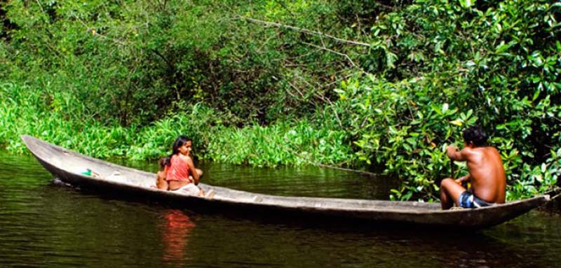 Du lịch Venezuela: Trekking lên đỉnh “thế giới đã mất” của các Thần linh - Ảnh 8.