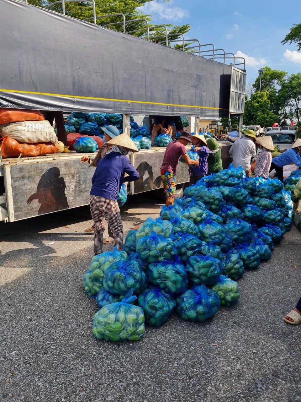 Hội Nông dân Lào Cai gửi tặng Hà Nội 33 tấn rau xanh tươi ngon - Ảnh 1.