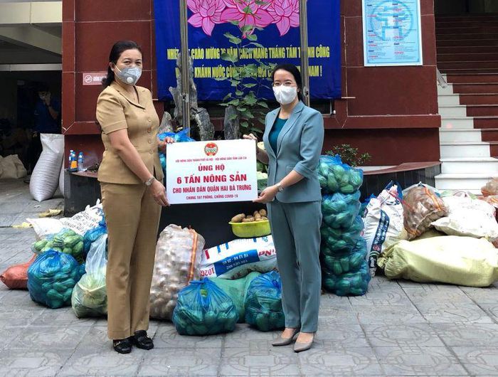 Hội Nông dân Lào Cai gửi tặng Hà Nội 33 tấn rau xanh tươi ngon - Ảnh 3.