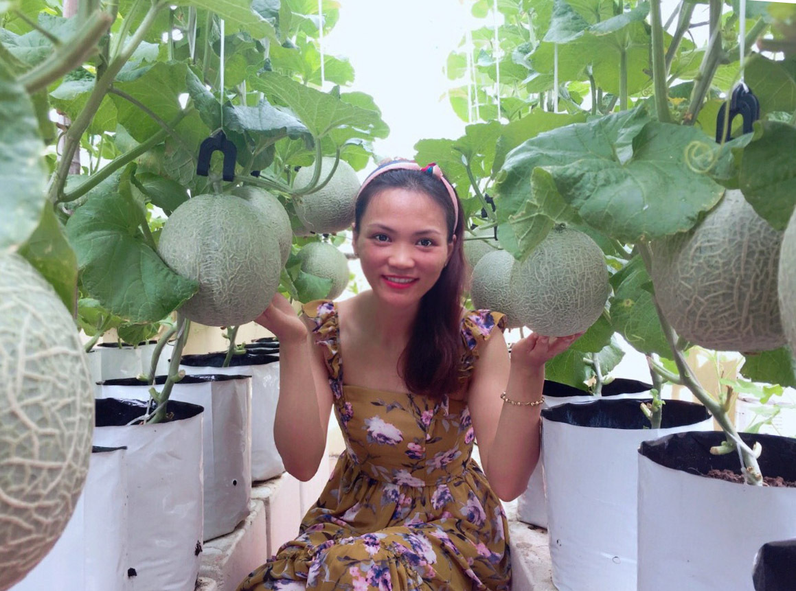 Choáng ngợp với cô gái trồng hàng chục loại dưa trên sân thượng ...