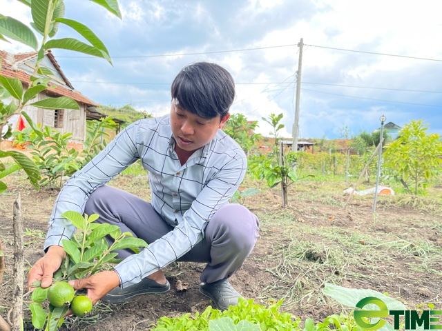 Quảng Ngãi: Khởi nghiệp ở làng mới  - Ảnh 1.