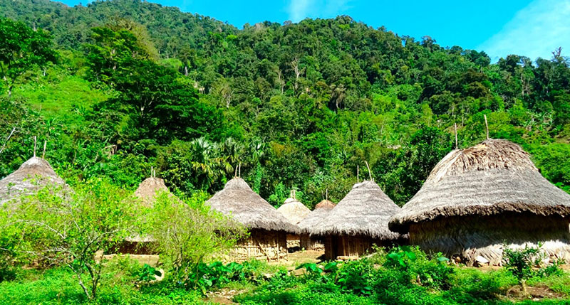 Colombia: Điểm đến kỳ diệu Cerros de Mavecure - nơi thổ dân Puinave khi đi săn phải “xin phép&quot; Thần Rừng - Ảnh 4.