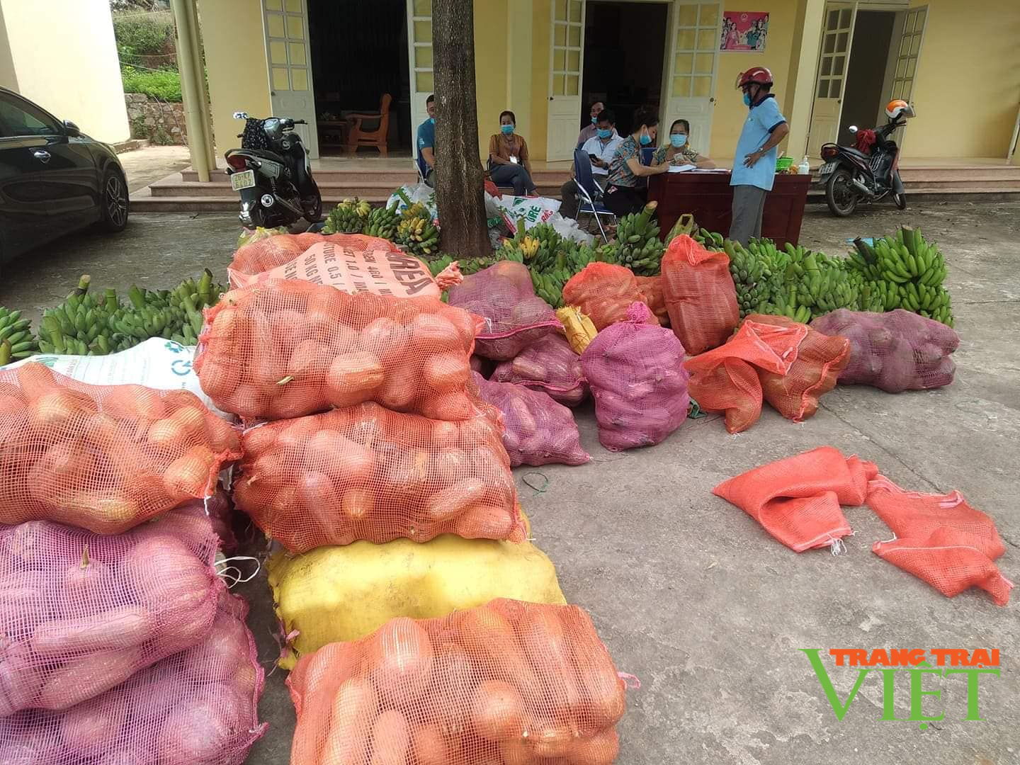  Yên Châu: Hỗ trợ nông sản trị giá gần 300 triệu đồng cho người dân Phù Yên những ngày giãn cách xã hội - Ảnh 6.