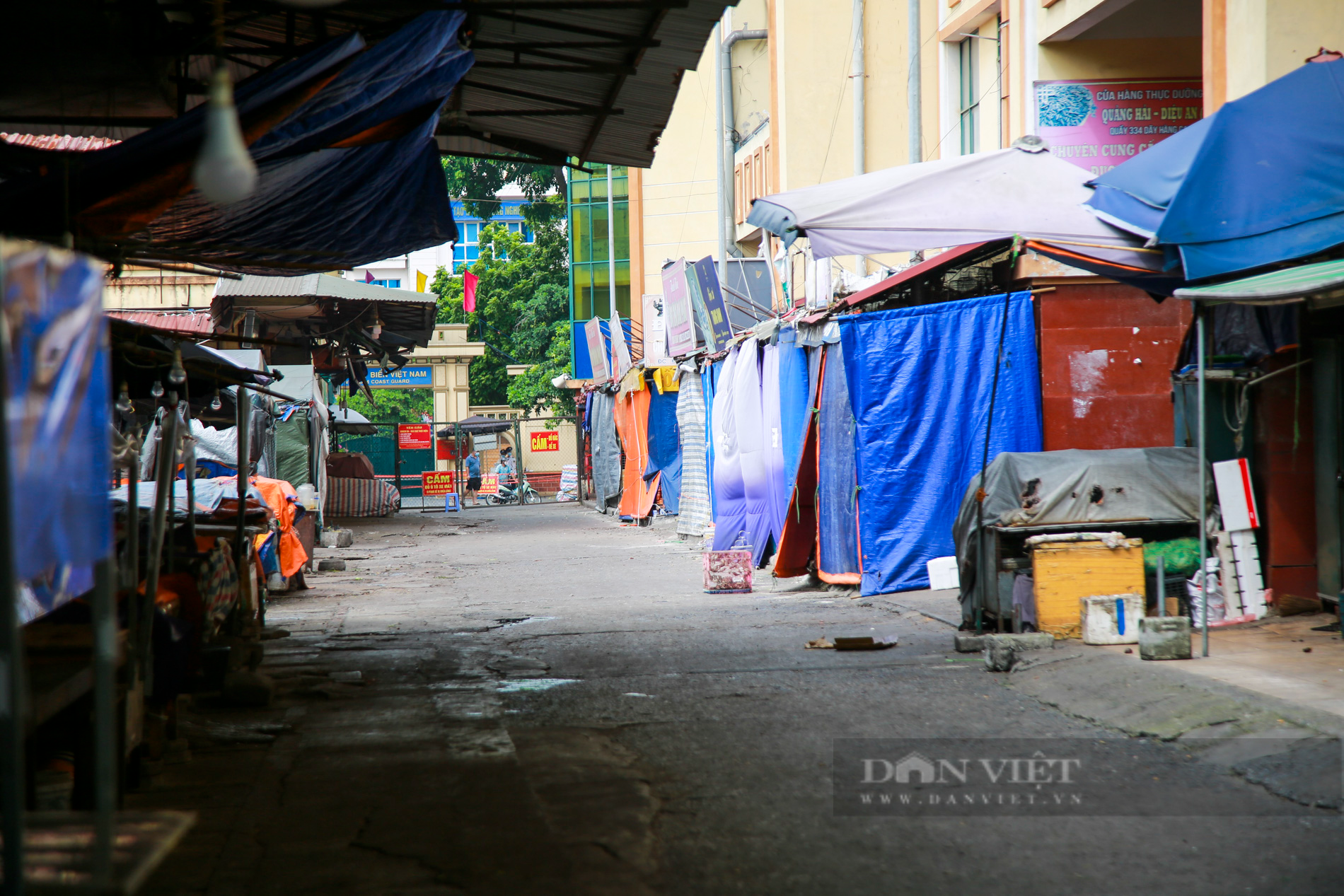 Phong tỏa tạm thời chợ Hà Đồng, khẩn trương lấy mẫu xét nghiệm tiểu thương - Ảnh 3.