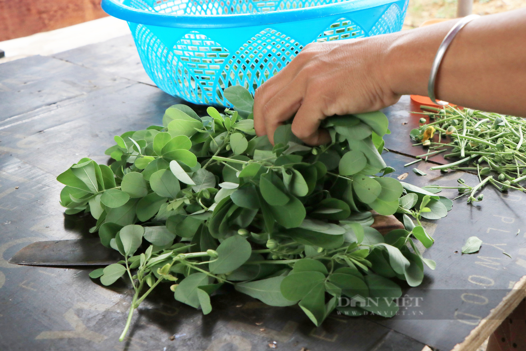 Công nhân &quot;mắc kẹt&quot; ở Hà Nội bẫy chim, hái rau dại ăn qua bữa giữa đợt giãn cách xã hội - Ảnh 5.