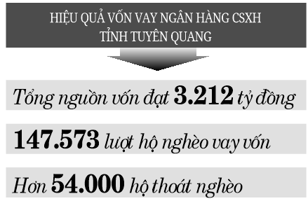 “Chìa khóa” giúp nông dân thoát nghèo ngoạn mục - Ảnh 3.